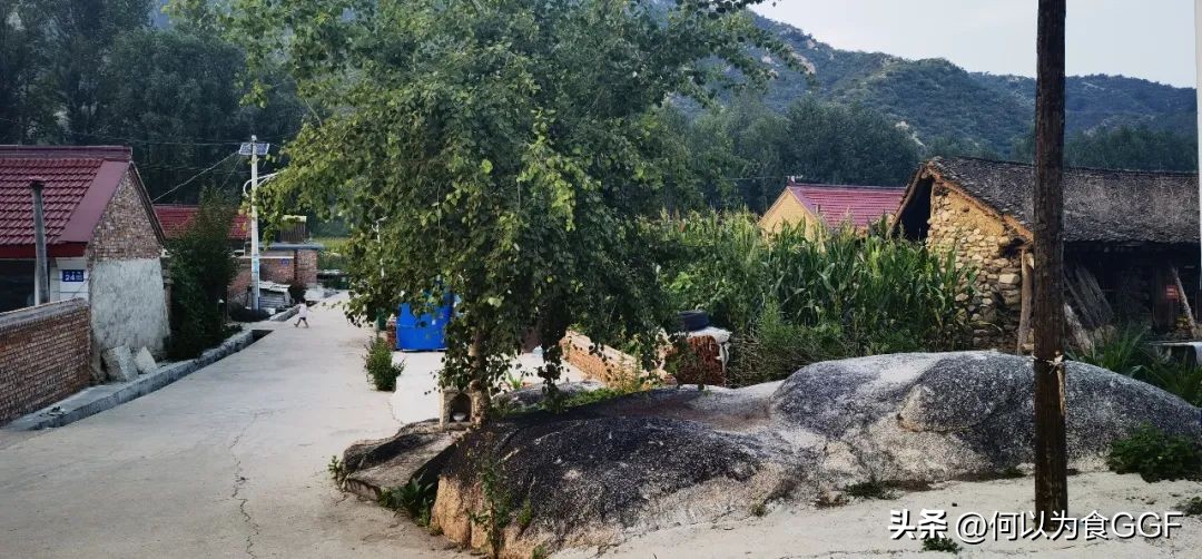 农村大锅菜的做法和技巧,农村真正的正宗的大锅菜