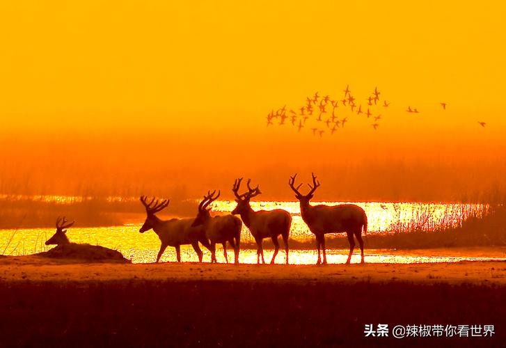 盐城最大的海边城市,盐城海岸线为何一直延伸