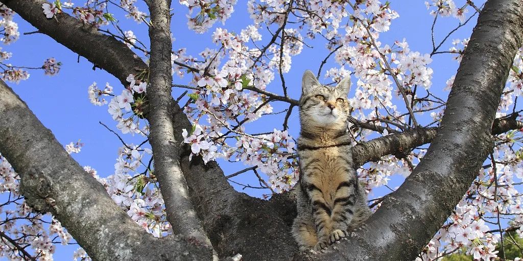 2023完结小说完整版,2023年完结小说排行榜最新