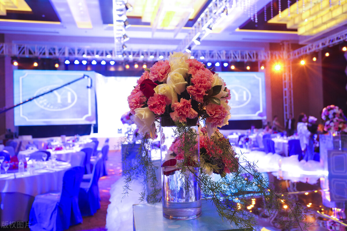 婚礼策划方案手绘,婚礼策划方案主持