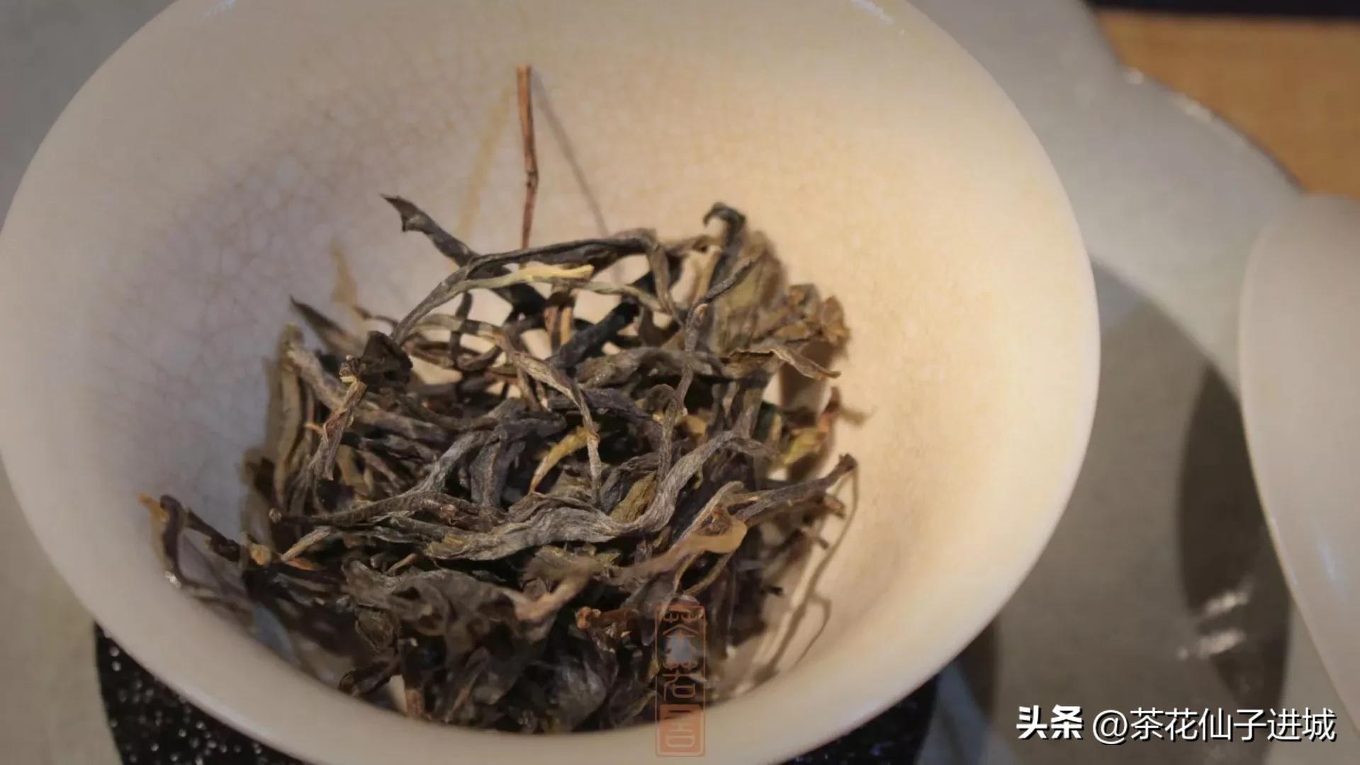 茶叶五大香型是什么茶种,白茶九大香型介绍