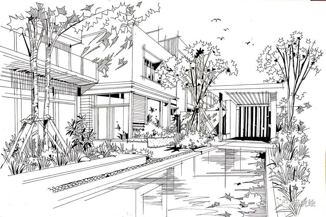 2022猫虎绘暑假手绘班招生简章「线上+线下」