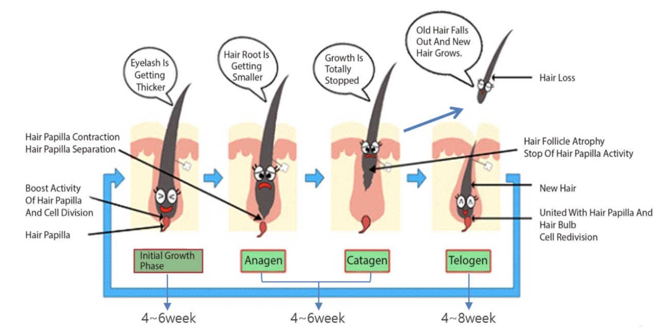 有些女性下身无毛是怎么回事？这4个原因，为了健康，最好了解