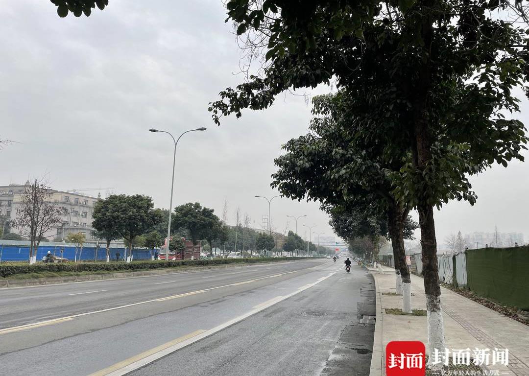 绿化树果子落地上很脏,洗不掉的植物污渍怎么办