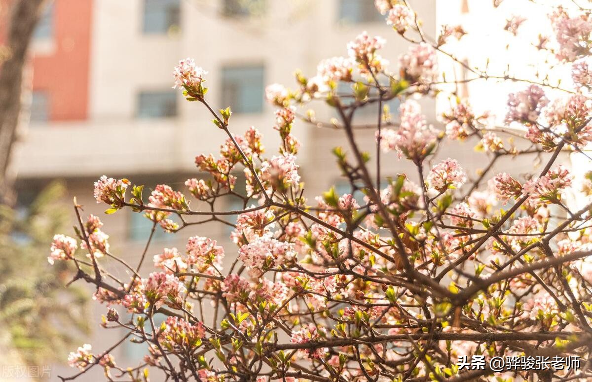 专科批次男生女生适合的十大专业,热门专业排名适合男生的专业