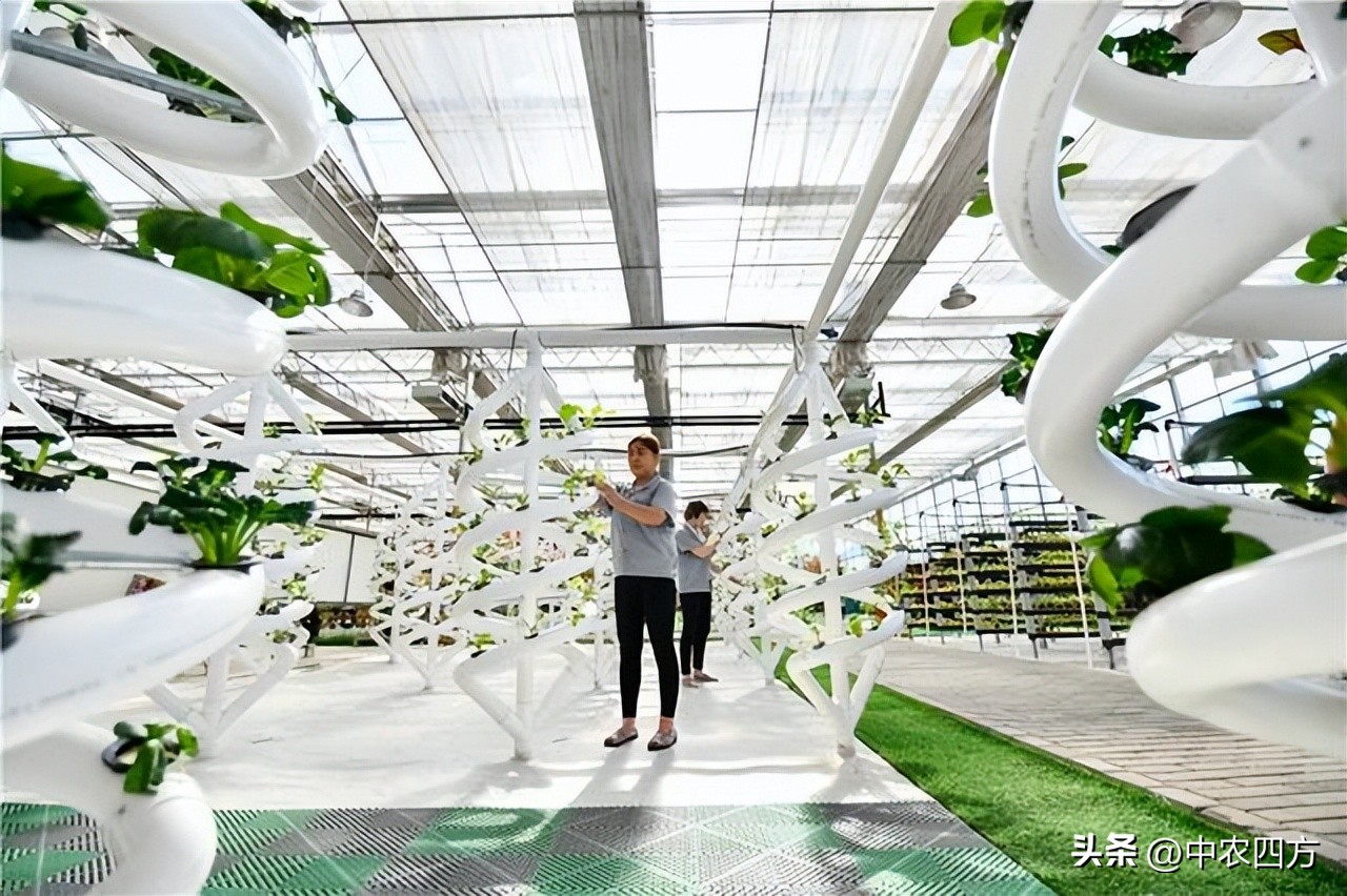 乡村振兴最新土地政策与拿地要点,乡村振兴产业规划2020-2035