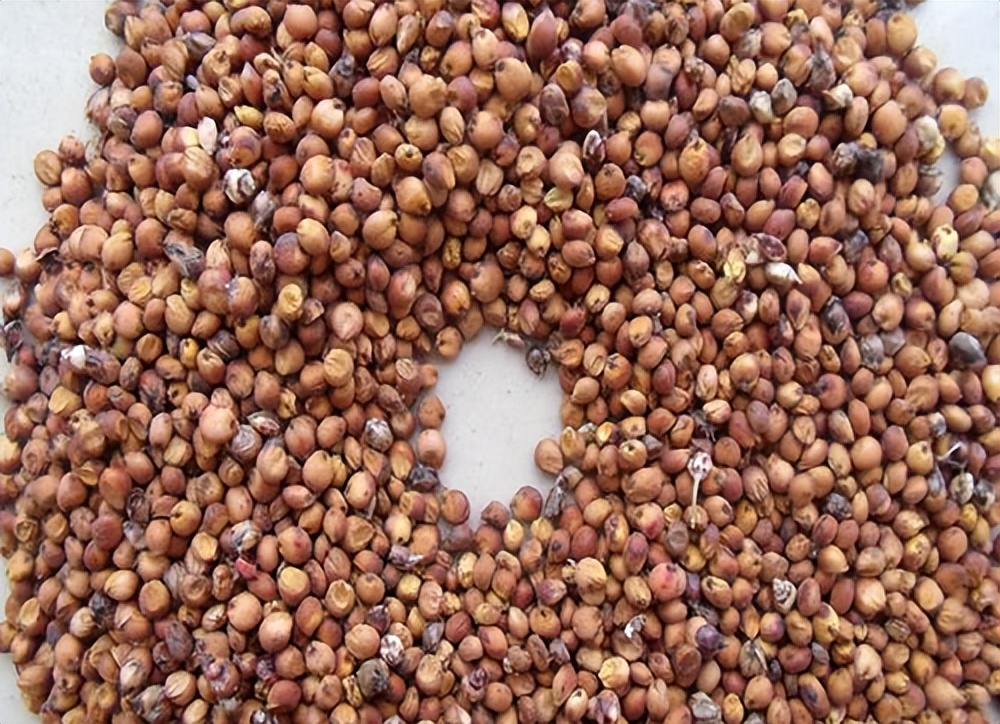 品白酒入门基础知识,白酒品类常识大全