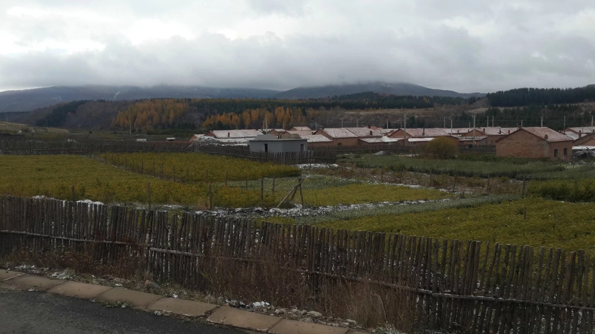 金秋时节登山视频,金秋登太行免费完整版