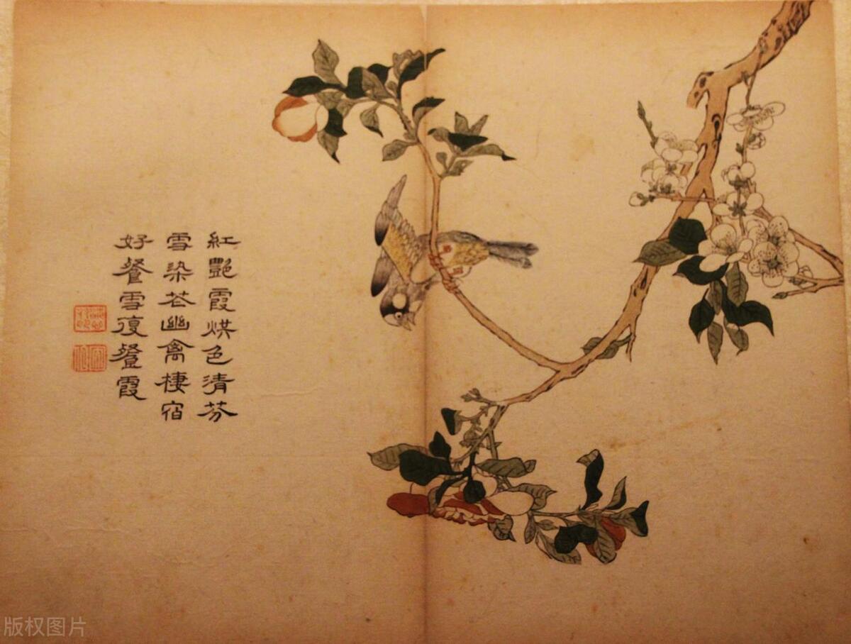 抖音如何开通书画店铺,抖音书画小店开通教程怎么弄