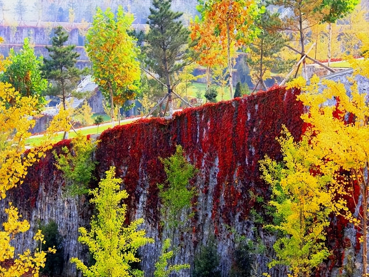 灵山宝塔陵园不同的墓区价格,灵山宝塔陵园值不值得去
