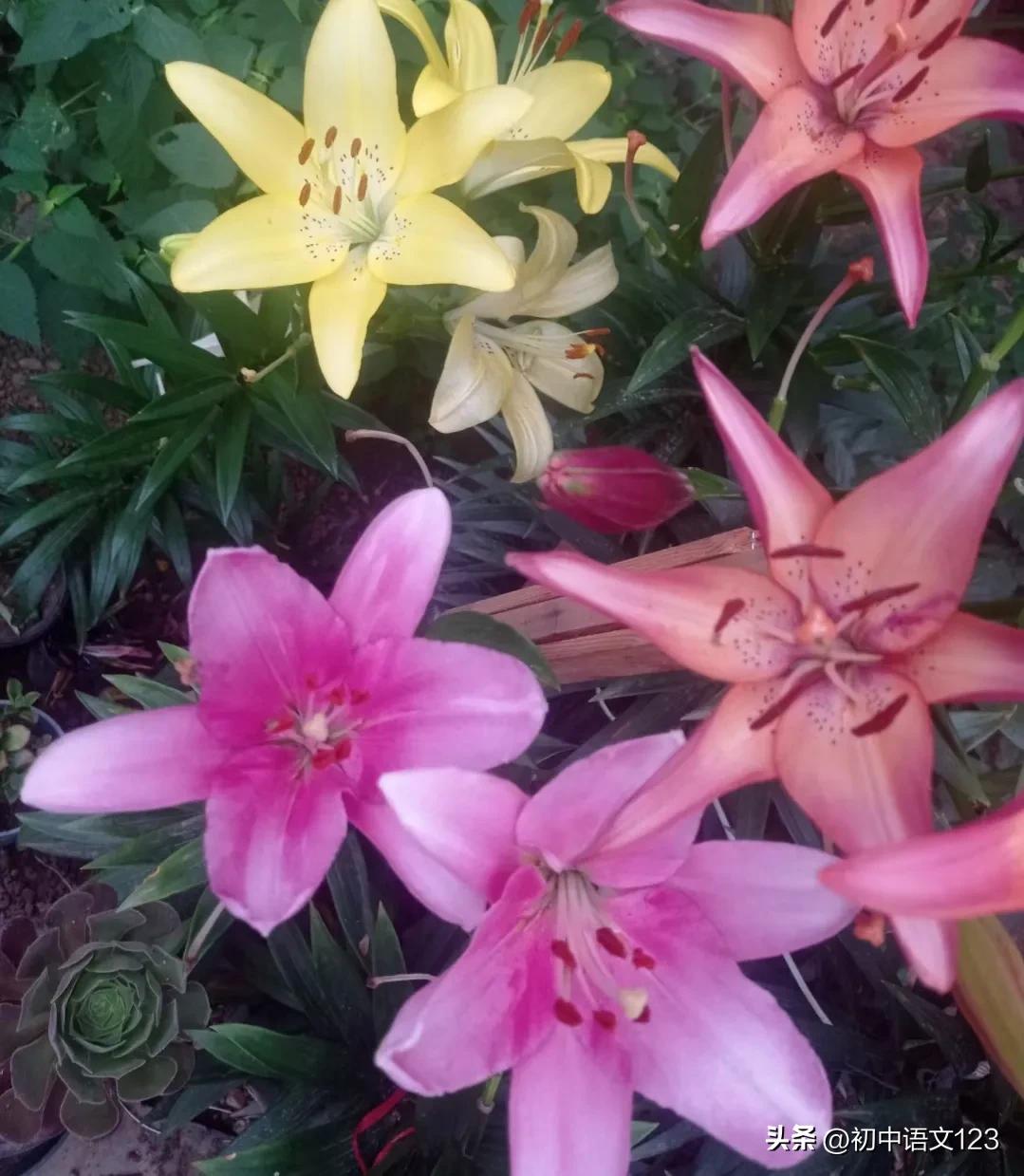 新闻标题的拟写方法,中考语文拟写新闻标题答题技巧