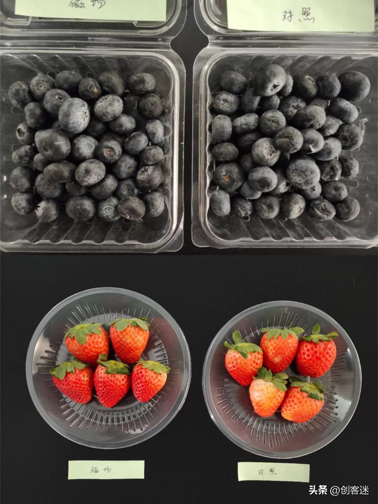 双十一冰箱选购攻略,双十一选购大容量冰箱