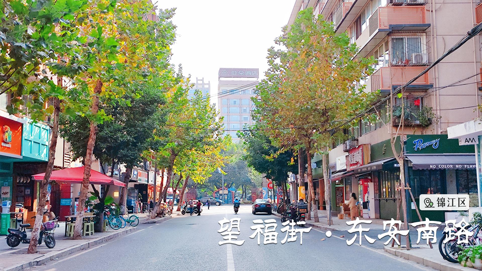 成都周边哪条河边绿道最美,最美回家路满满回忆