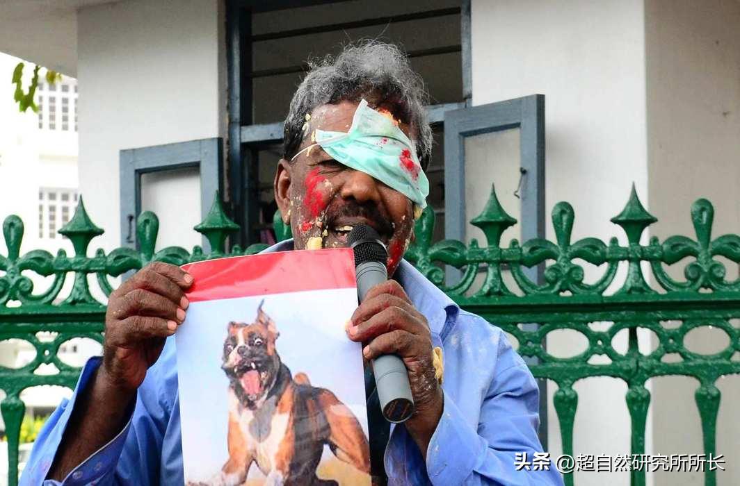 被狗咬了太可怕,被狗咬了才知道疼