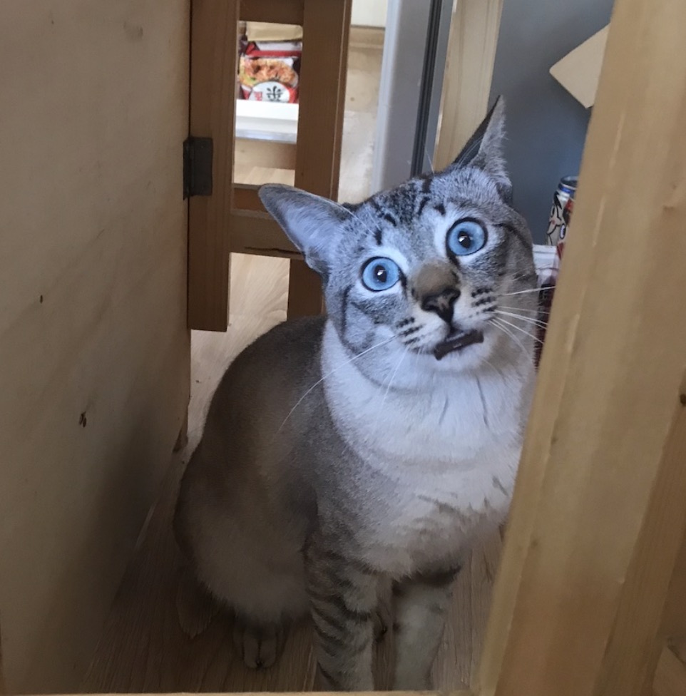 二胎妈妈一边崩溃一边自愈,产后高烧反复不退怎么办