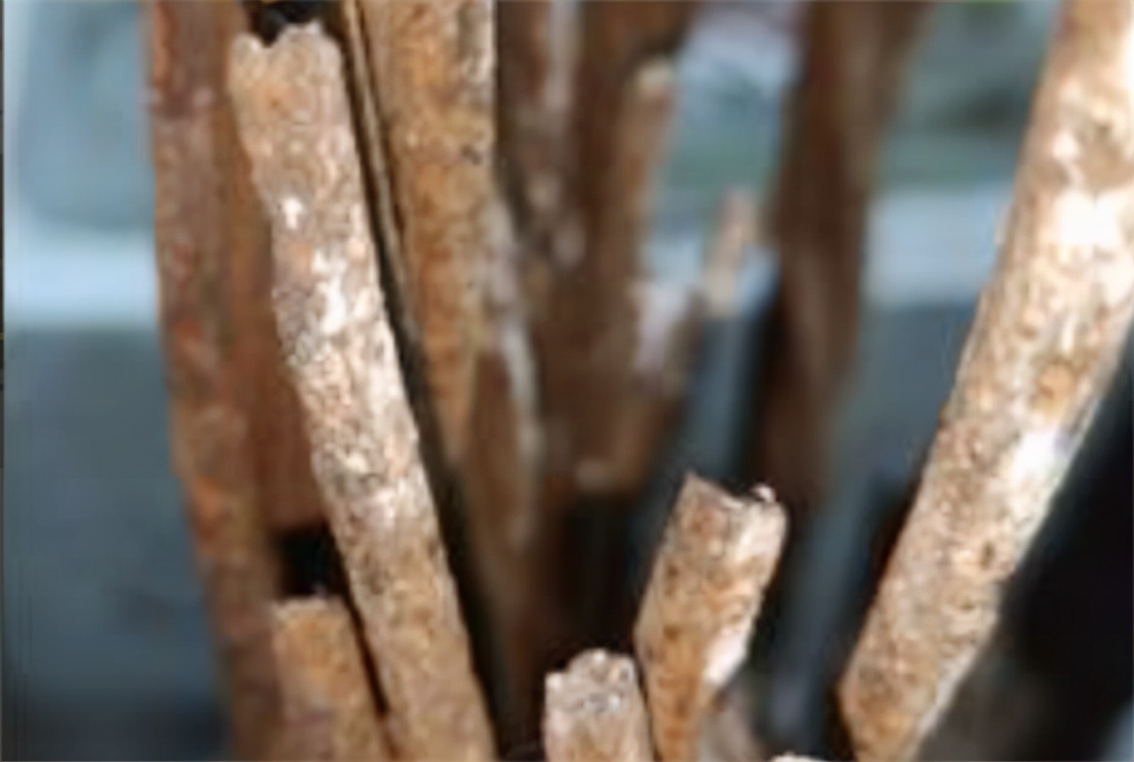 深圳湾大桥钢缆,深圳湾公路大桥钢缆折断