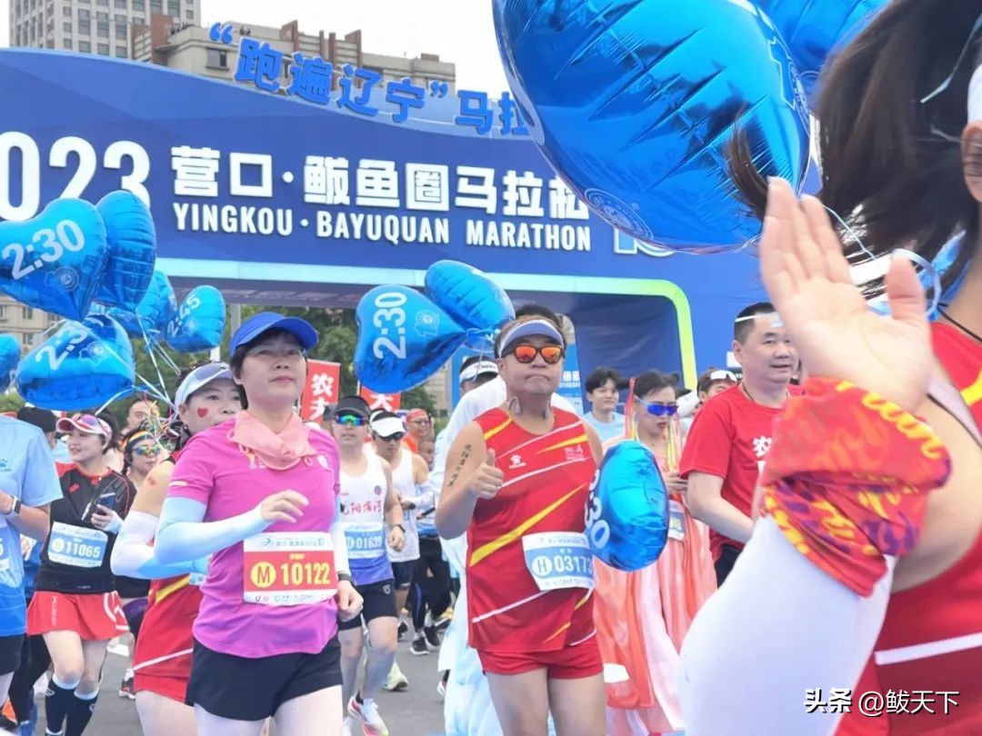 营口鲅鱼圈国际马拉松赛,鲅鱼圈马博会是哪天