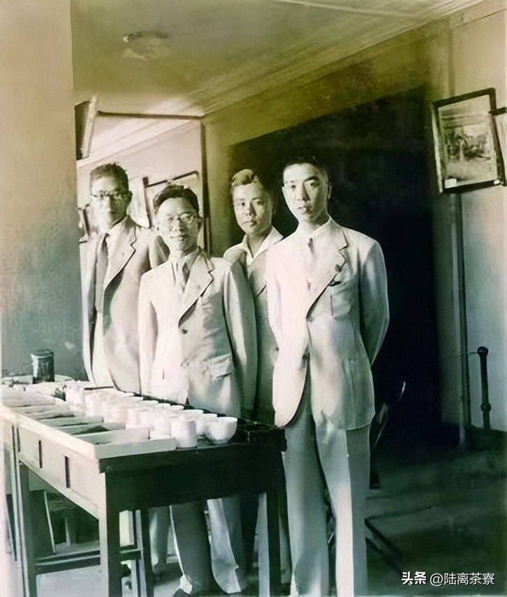 中国茶叶与印度茶,中国和印度茶叶现状分析