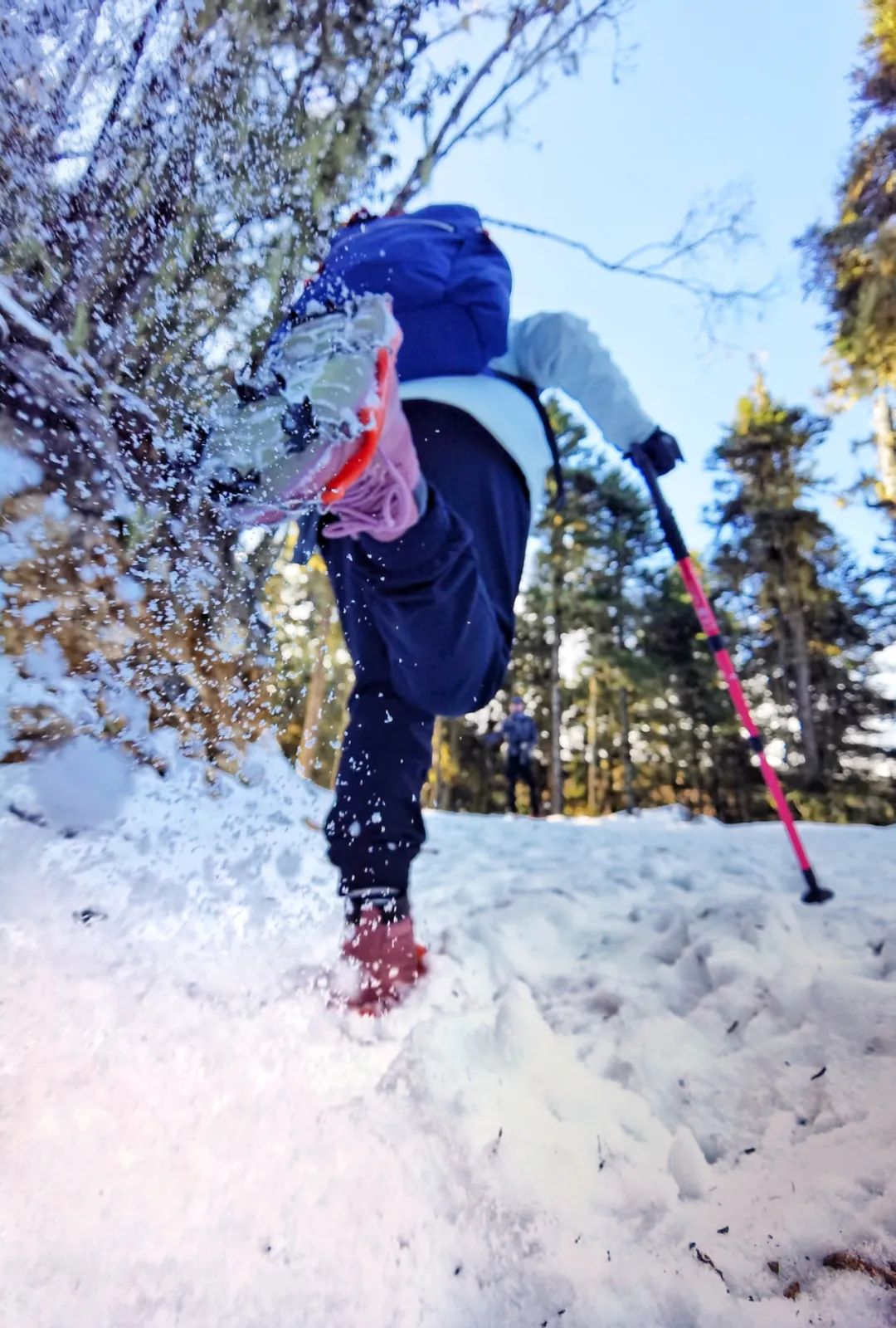 云南西双版纳跨省游最新通知,云南跨省游最新通知