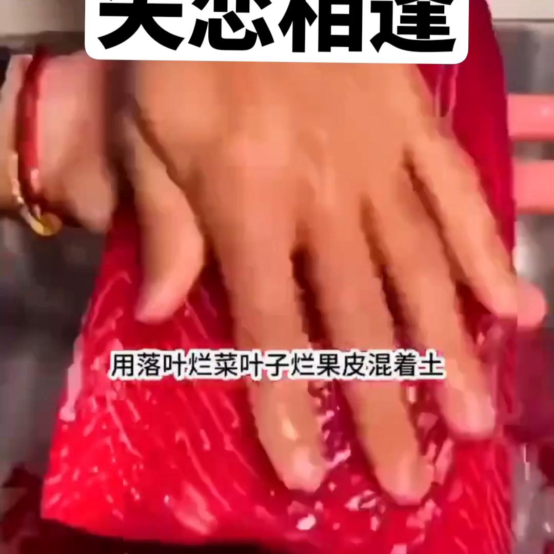 意想不到的结局1至150集电影解说,意想不到的结局一口气看完