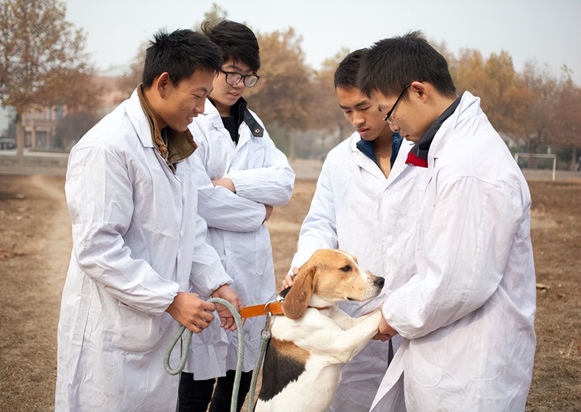高考志愿冷门行业有哪些,目前高考填报志愿冷门专业有哪些