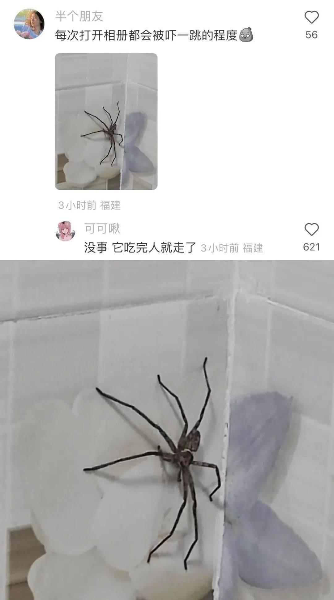 花了1000块钱拍艺术照,花了900元拍的照片