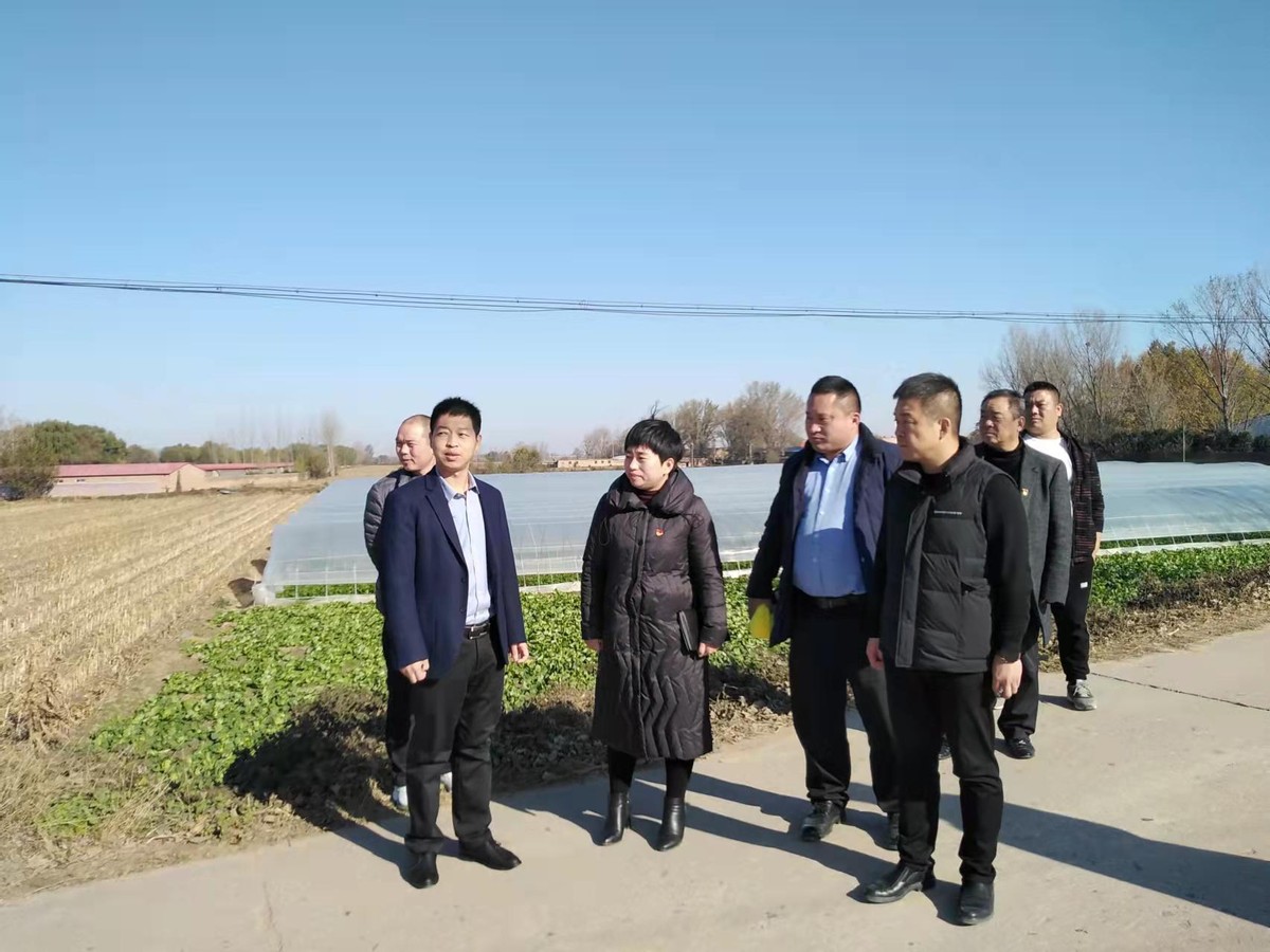 椹绘潙甯壎鐩墠宸ヤ綔閲嶇偣,2022涔¢晣椹绘潙甯壎宸ヤ綔鍗婂勾鎬荤粨