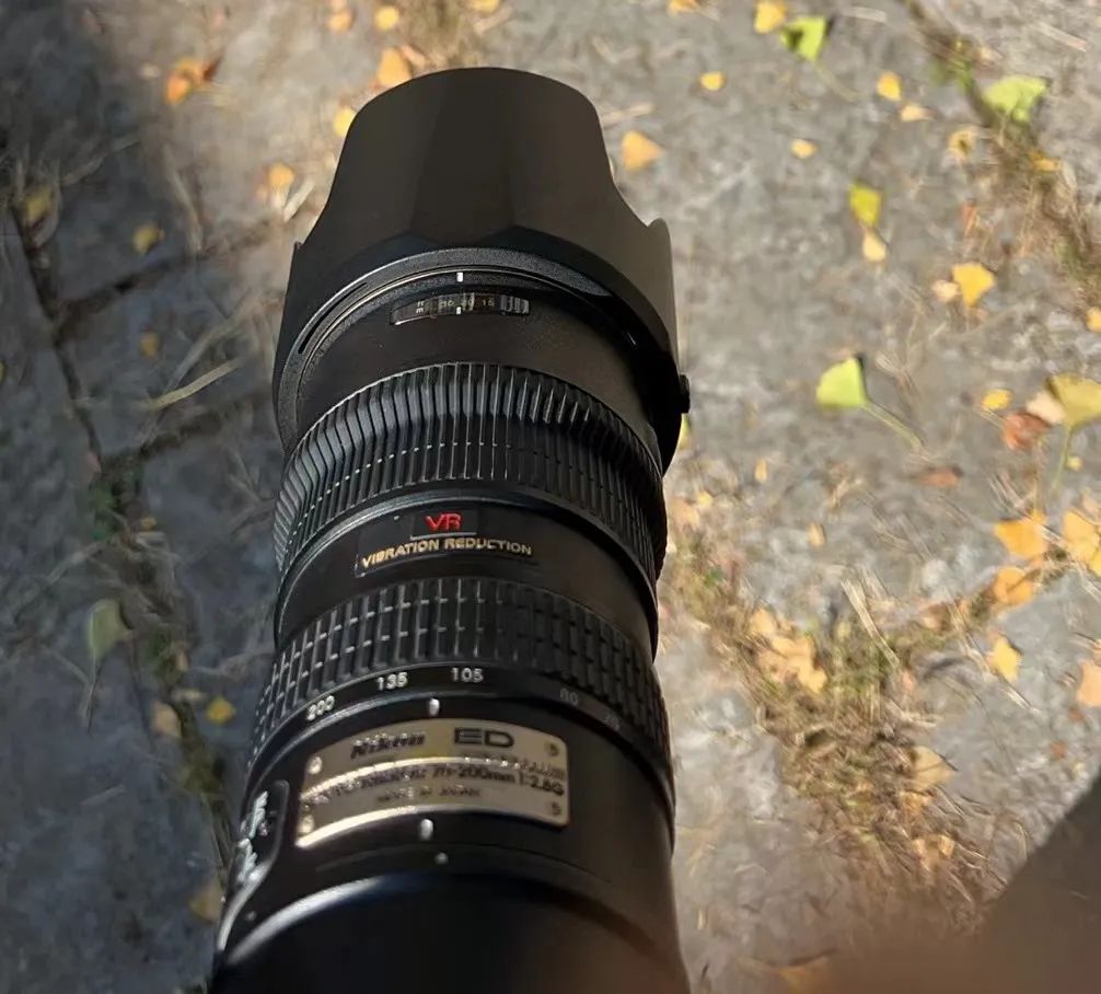 旧相机能做啥,旧相机值得修吗