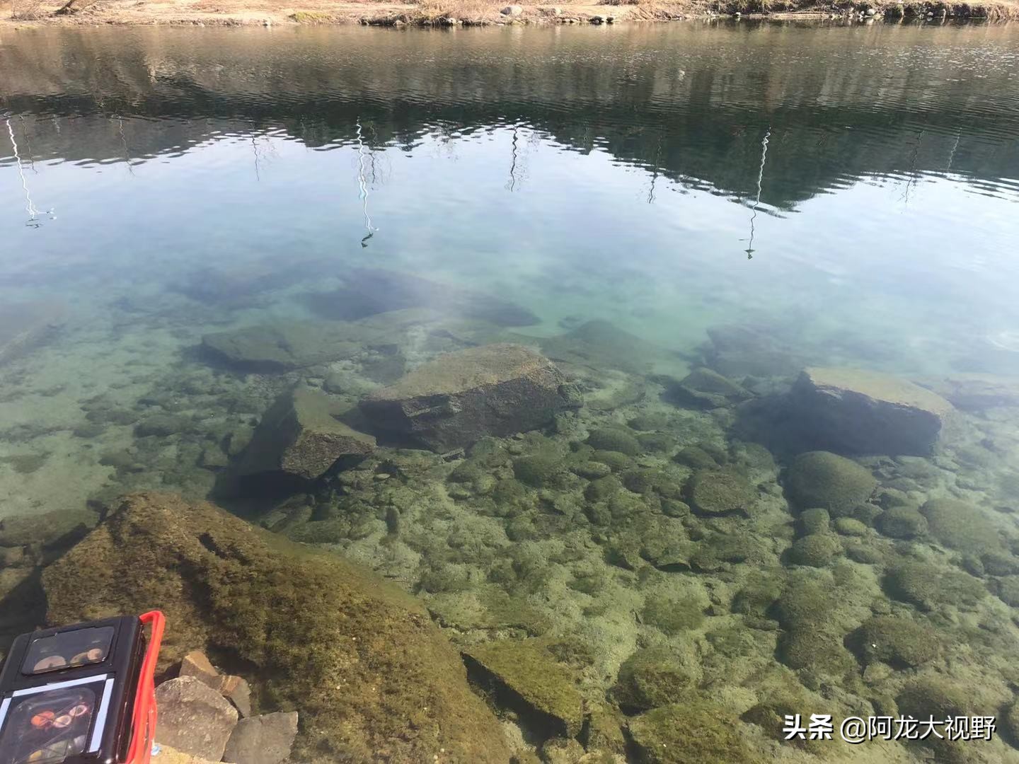 野钓：小河道巧夺大板鲫和黄骨鱼！分析得当，渔获自然少不了