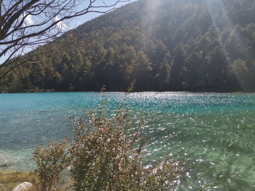 彩云之南2019丽江纪录片,彩云之南丽江香格里拉