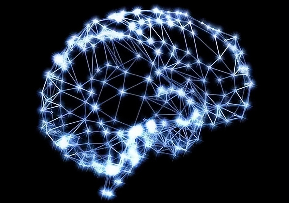 深度信念网络和皮层算法：监督分类的比较研究