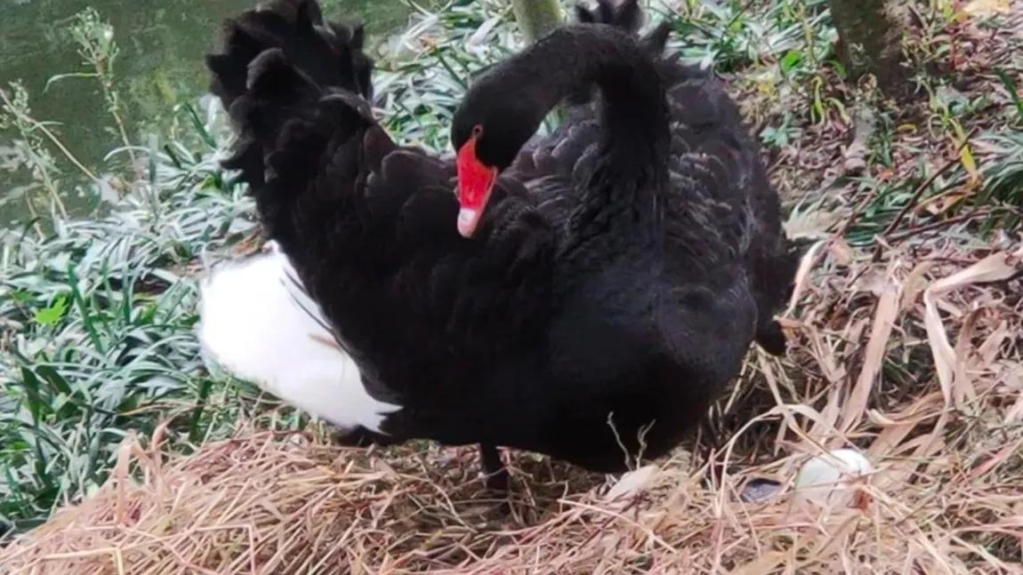 苏州东园园林地址,苏州东园园林简介