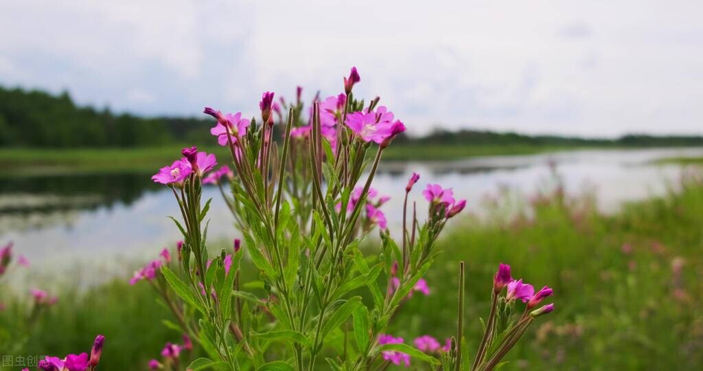 认识你是幸运也是遗憾,遇见你是天意认识你是诚意