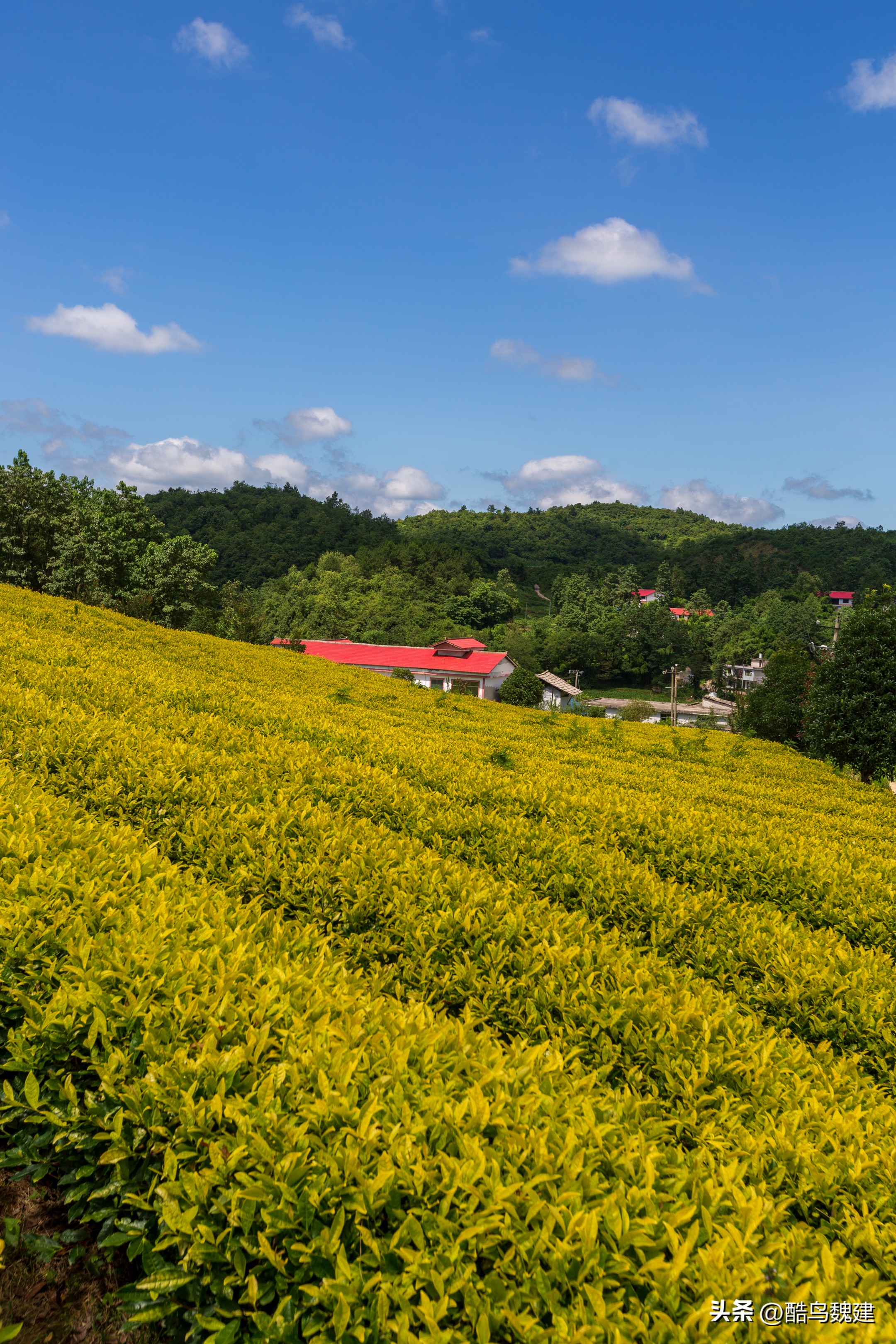 黔南旅游住在哪里合适,黔南州有什么好的旅游地方
