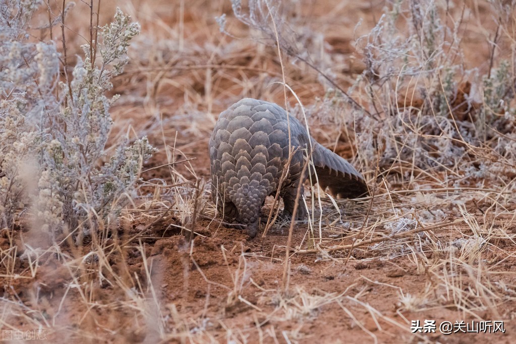 坟塌后人发是什么意思,坟塌有什么说法吗