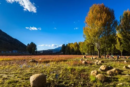 本田适合摩旅的摩托车,适合摩旅的十大摩托车价格
