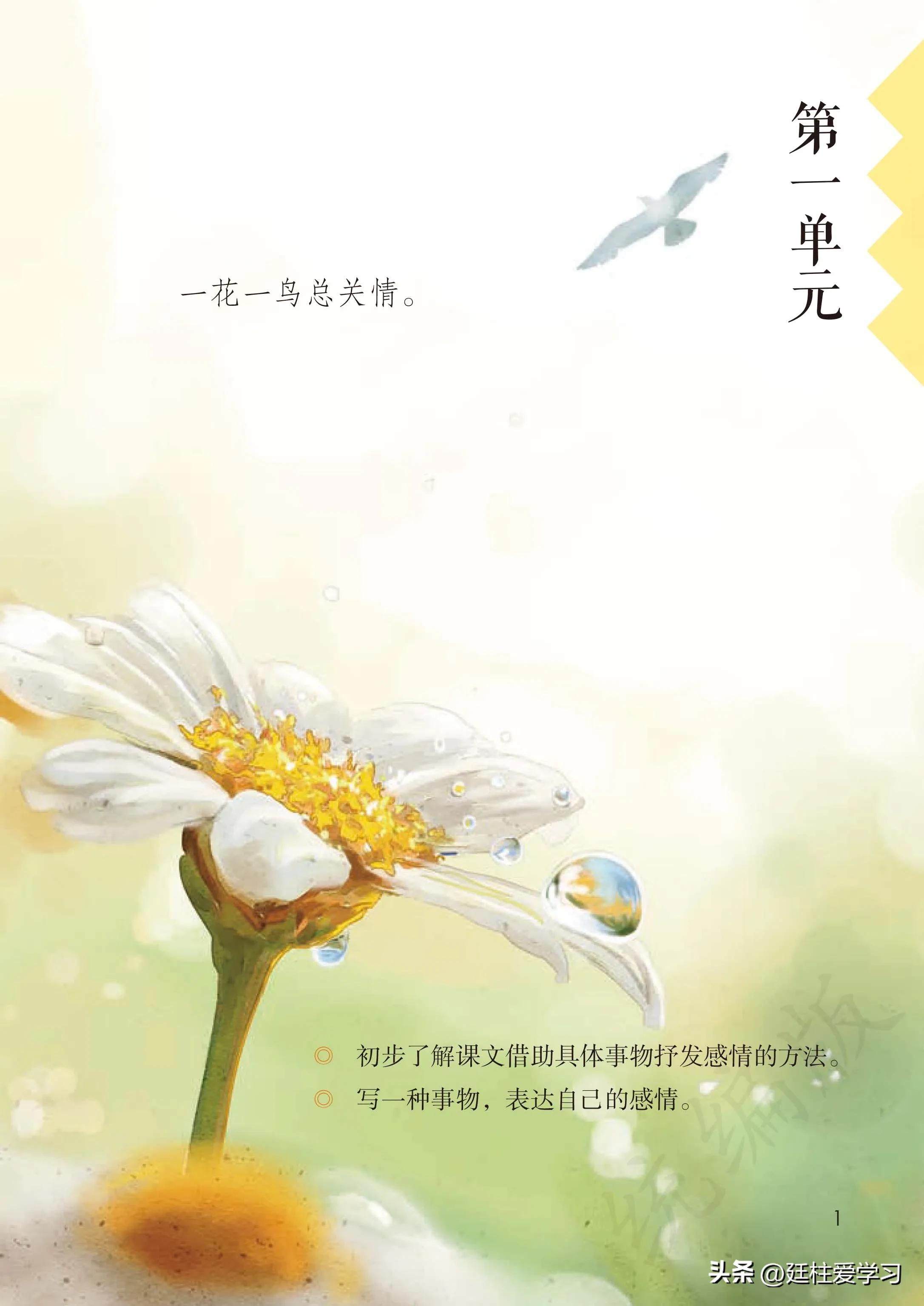 小学语文五年级上册22课,小学语文五年级上册知识点