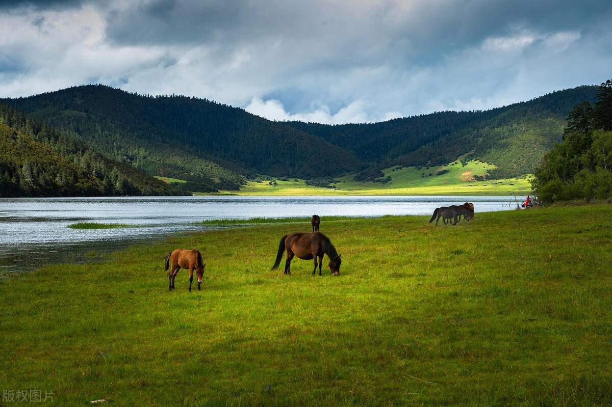 香格里拉最值得去的景点,香格里拉十大必游景点排名