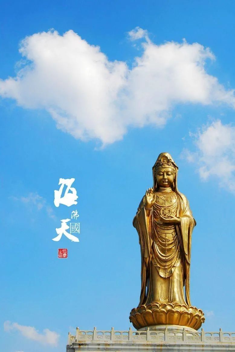 海天佛国普陀山朝圣,海天佛国普陀山