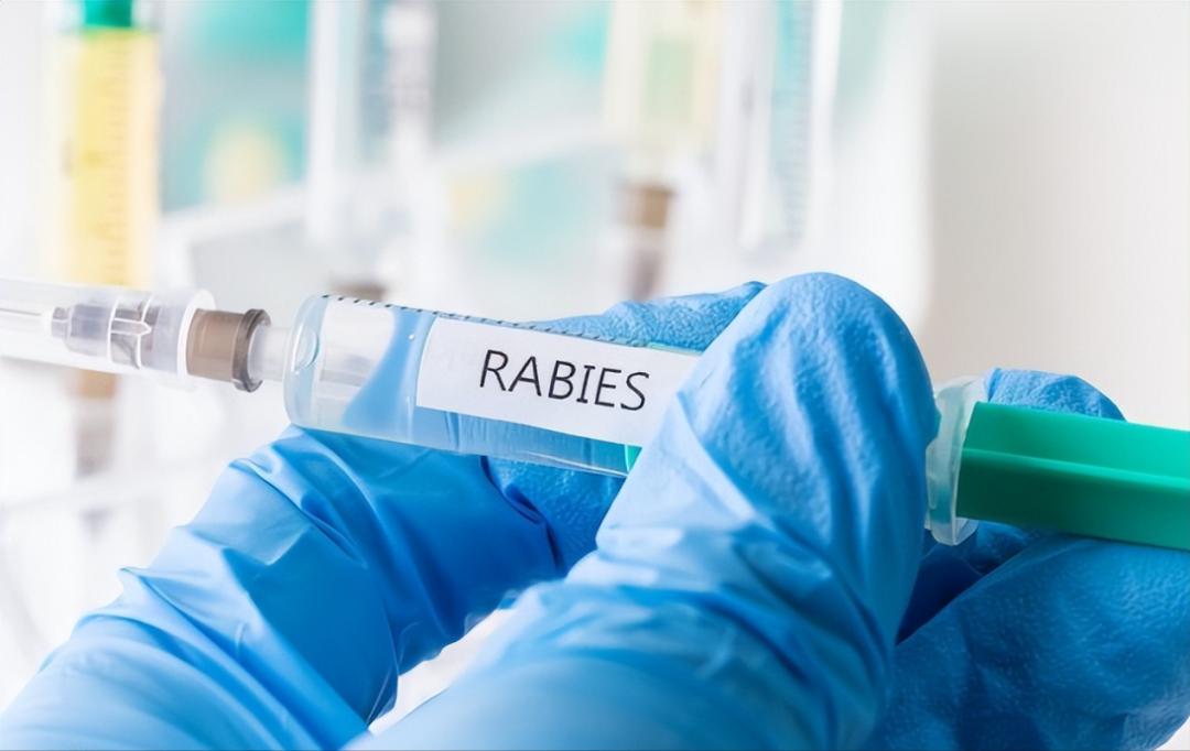 被猫咬后72小时打破伤风,被猫咬出破伤风的病例