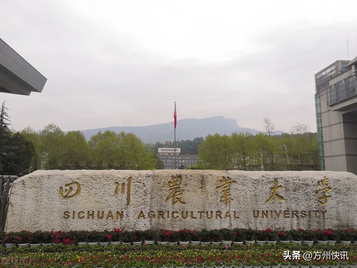 四川临床医学专业大学排名分数线,什么是双非大学四川双非大学排名