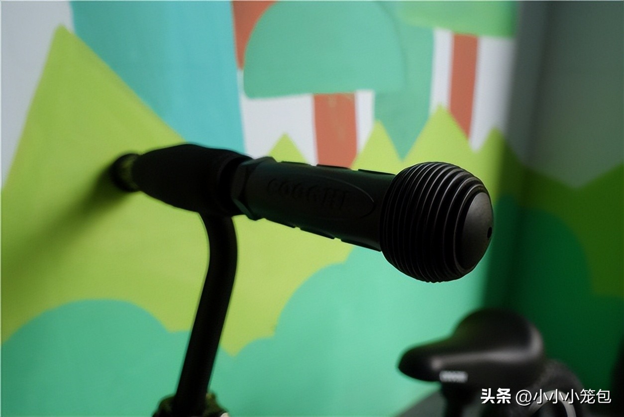 给孩子选哪个牌子的平衡车,3岁平价儿童平衡车怎么选