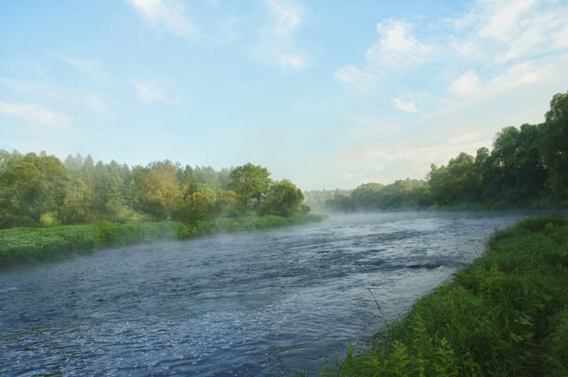 一个人成功其实很简单,要想成功的人必须要做到三点