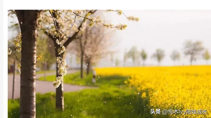 历尽千帆后的平静与淡泊——小学必背古诗王维《田园乐》详解