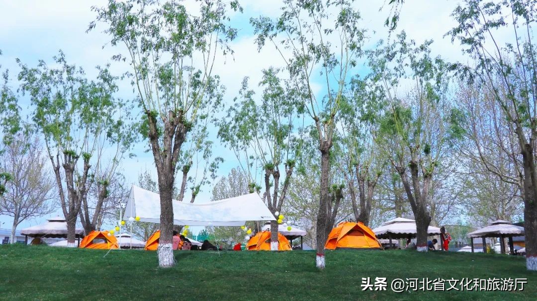 秦皇岛免费露营地推荐,秦皇岛露营地推荐晚上