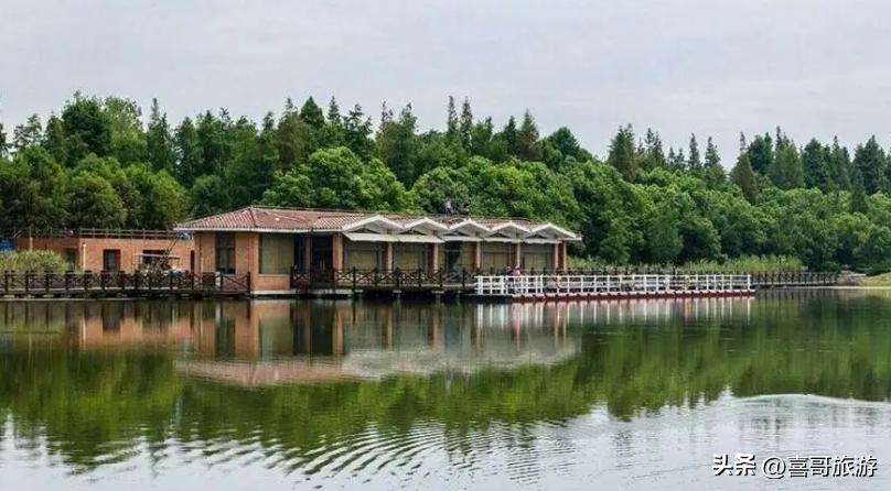 上海金山周边好玩的旅游景点推荐,冬天上海周边城市旅游景点推荐