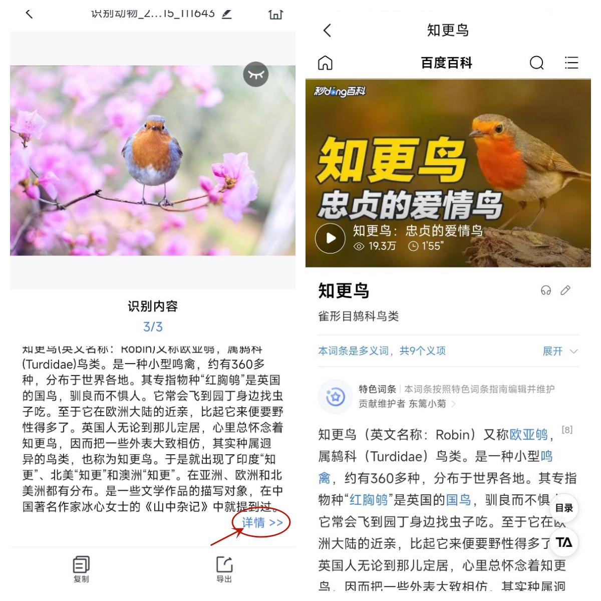 拍照动物自动识别数量软件,拍照识别动物数量app