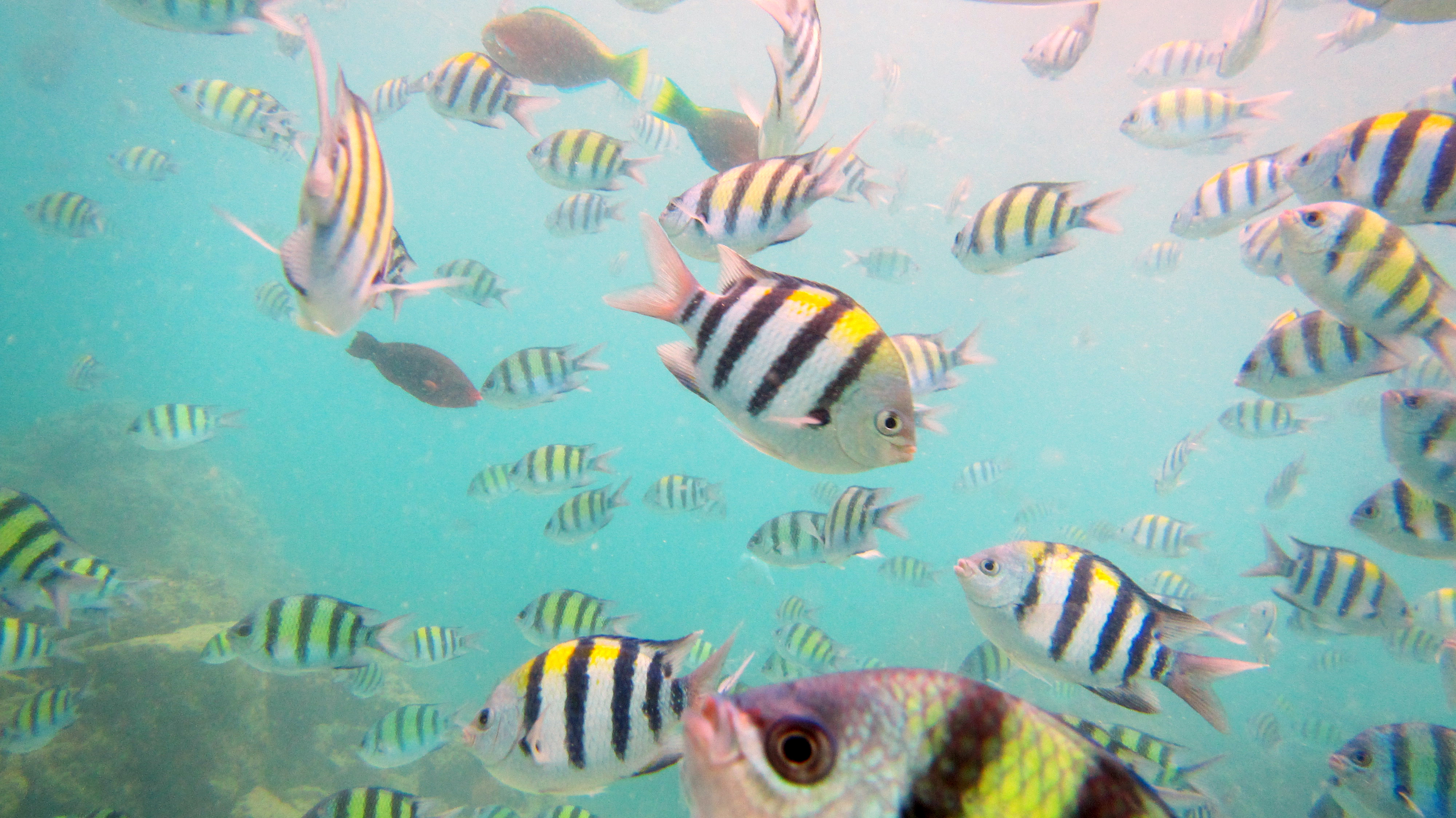 泰国三亚旅游对比,三亚和泰国旅游选择哪里