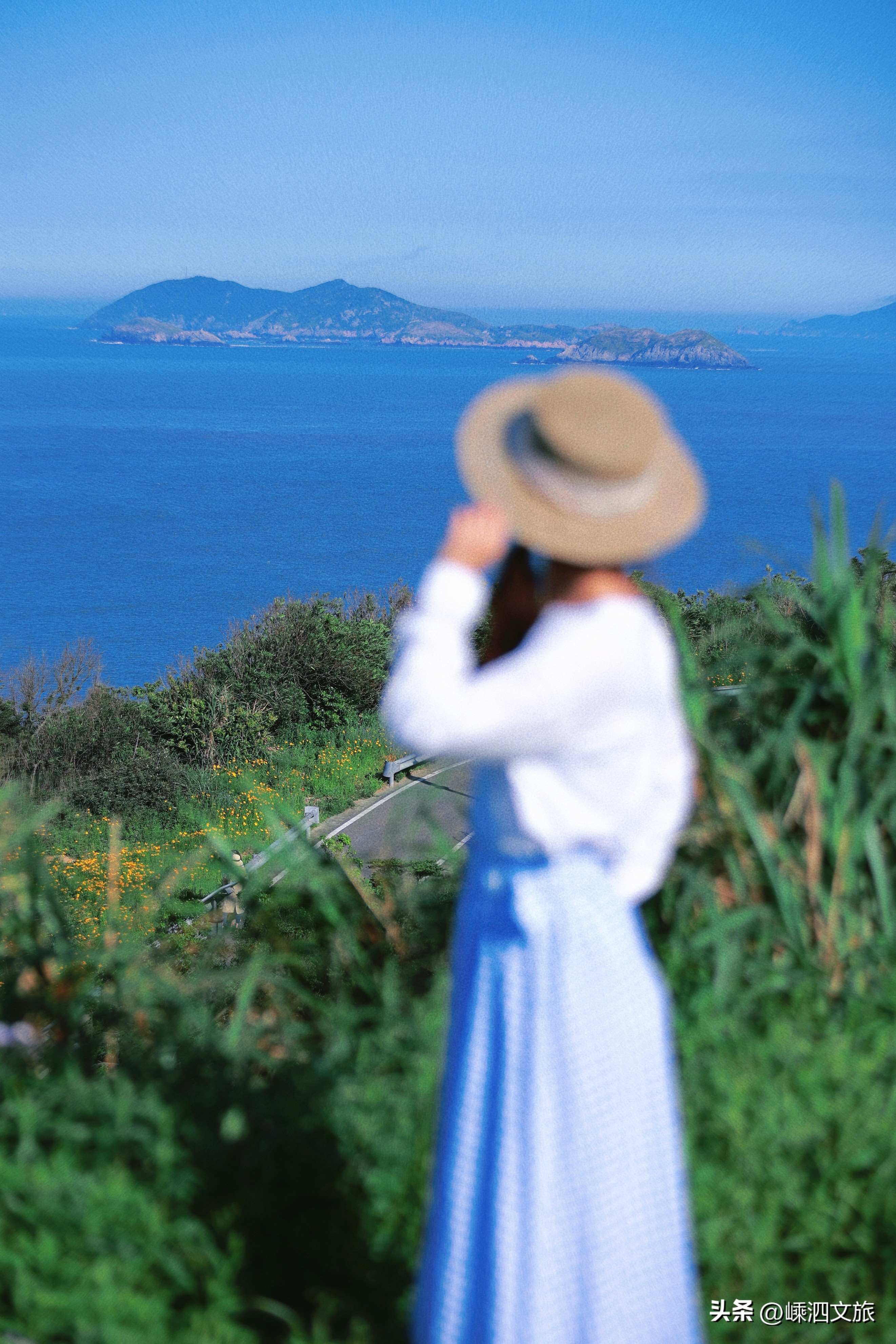 快用“Ctrl+”打开花鸟岛！