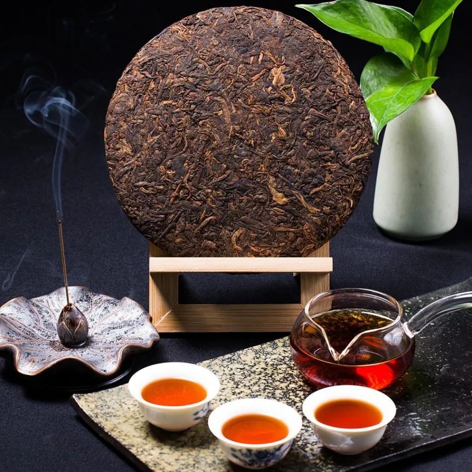 冬季喝的极品茶,谷雨茶好茶